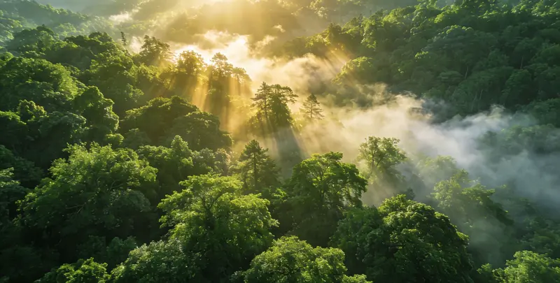 杭州肺癌靶向120基因检测（组织）图片1