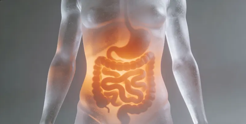 杭州胃癌分子分型基因检测项目（组织）图片1